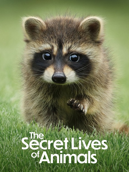 مسلسل The Secret Lives of Animals الحلقة 2 مترجمة